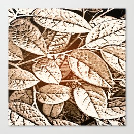 leaf's Canvas Print
