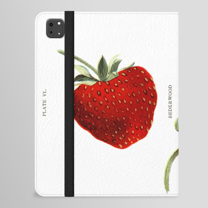 Vintage Strawberry Painting iPad Folio Case