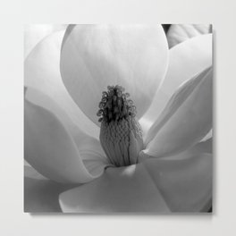 Magnolia flower blossom floral black and white photography / photograph Metal Print | Blossoms, Paris, Tropical, Mexico, Flower, Rainforest, Photograph, Hawaii, Blossom, Flowers 