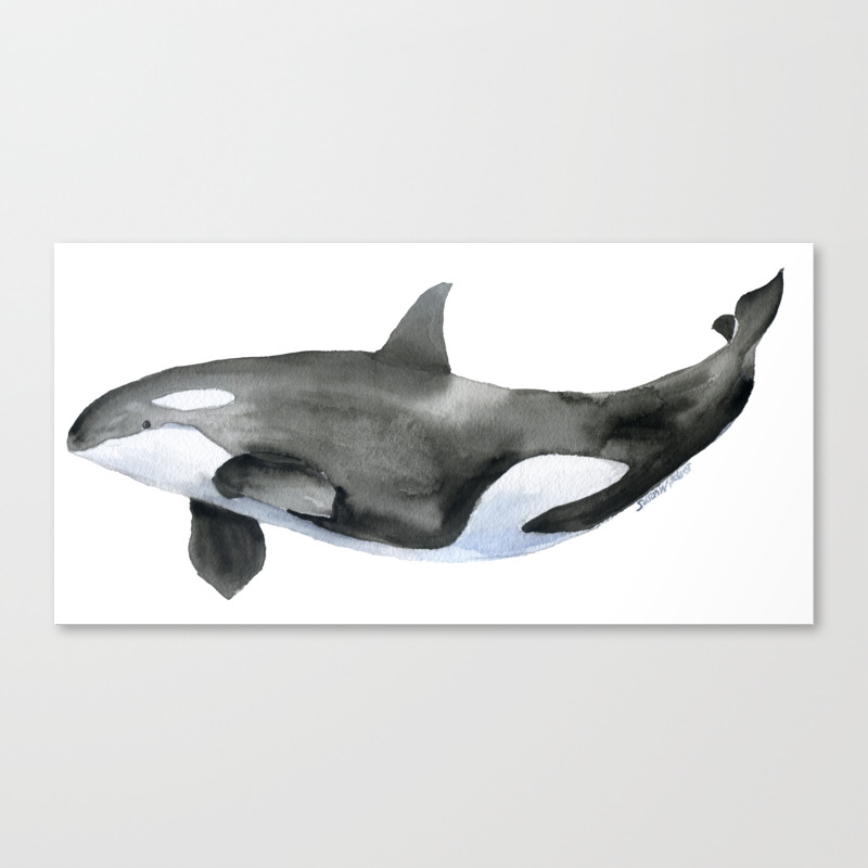 Download Seaworld Wall Art Prints Seaworld Orca Killer Whale Watercolour Print Art Collectibles Prints Efp Osteology Org