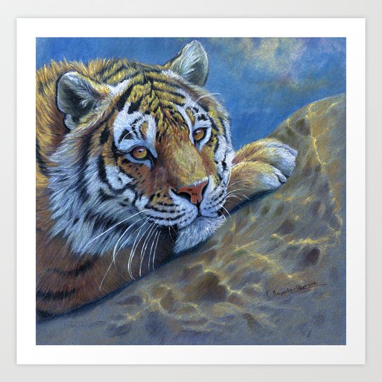Tiger on the rock CC117 Art Print