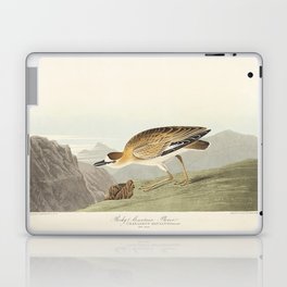 Rocky Mountain Plover from Birds of America (1827) by John James Audubon Laptop Skin