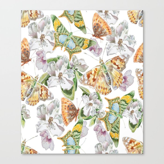 Butterflies and Flowers Canvas Print