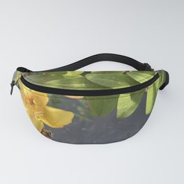 Yellow flower nature photography nature fall photograpy original Iphone Fanny Pack