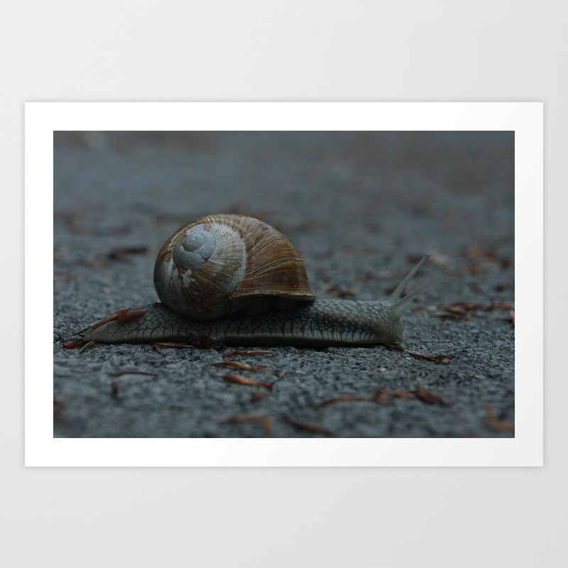 Digital snail print