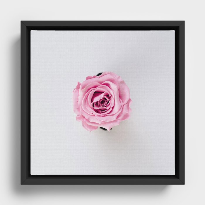 rose Framed Canvas