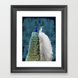 White Peacock and Blue Peacock Bird A732 Framed Art Print