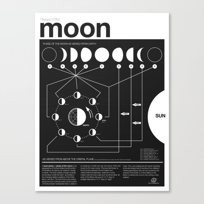 Phases of the Moon infographic Canvas Print