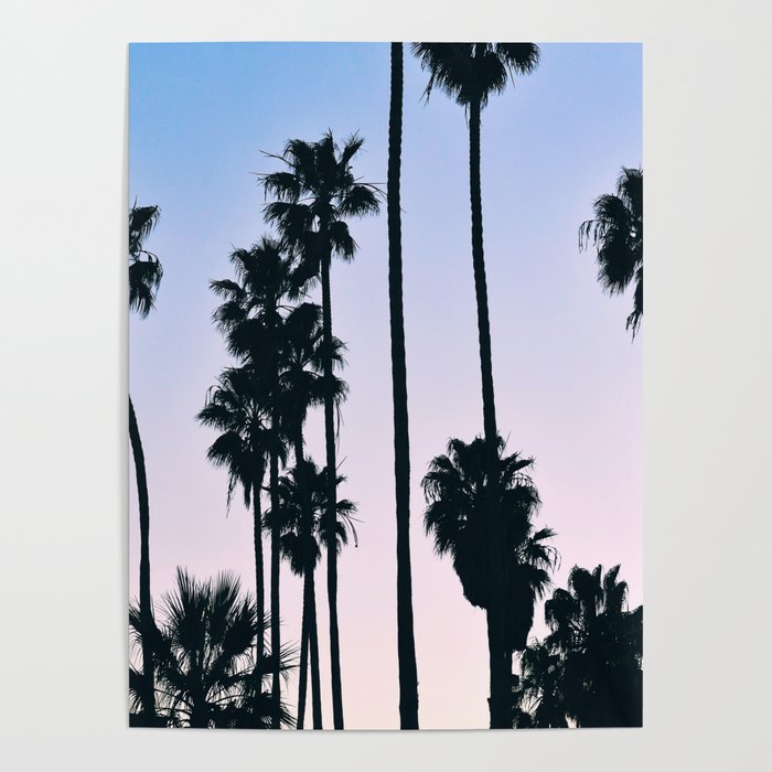 Palm Trees at Sunset, Santa Barbara, California Poster