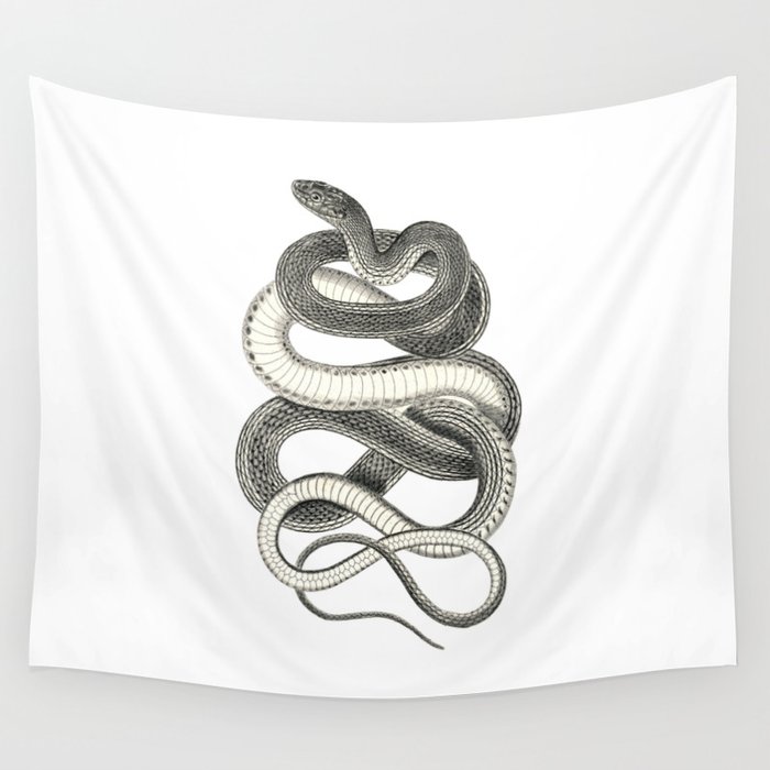 snake vintage style print serpent black and white 1800's Wall Tapestry