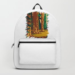 Sequoia and Kings Canyon National Park Backpack
