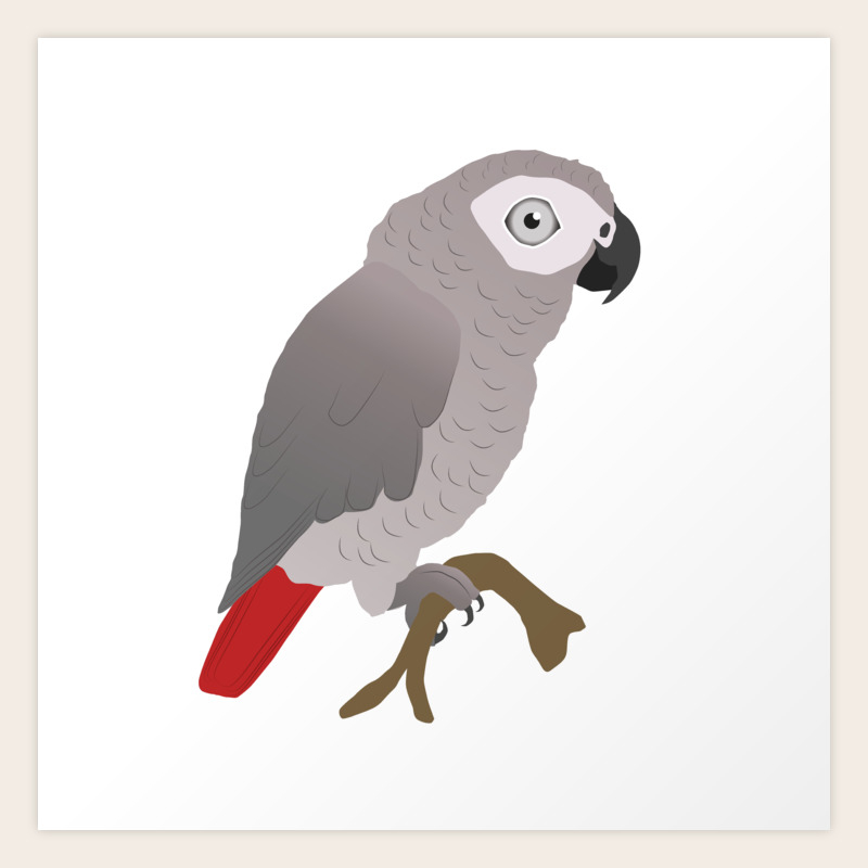 Cute African Grey Parrot Vector Art Print By Wizzies Society6