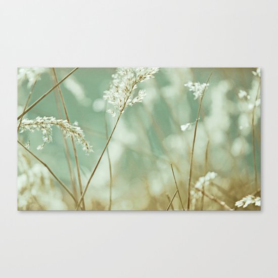 Nature Canvas Print