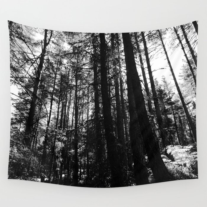 Scottish Highlands Summer Light and Shadow Wall Tapestry
