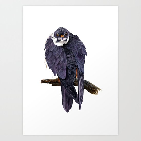 Hobby Art Print