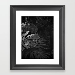 Monstera in the Wild Framed Art Print