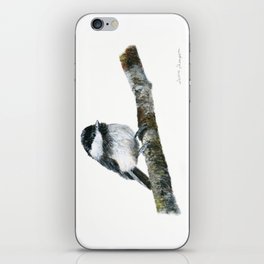 Black-capped Chickadee by Teresa Thompson iPhone Skin