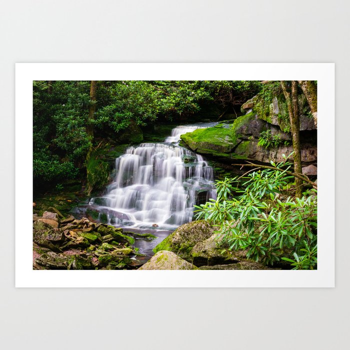 Blackwater Falls State Park West Virginia Elakala Falls Stream Landscape Photography Art Print