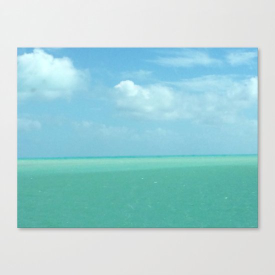 The Beauty of Florida Canvas Print