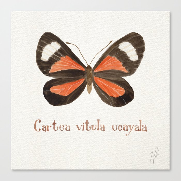 Canvas Print