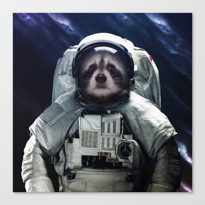 raccoon astronaut in the Milky way galaxy Canvas Print by Nova Graphic ...