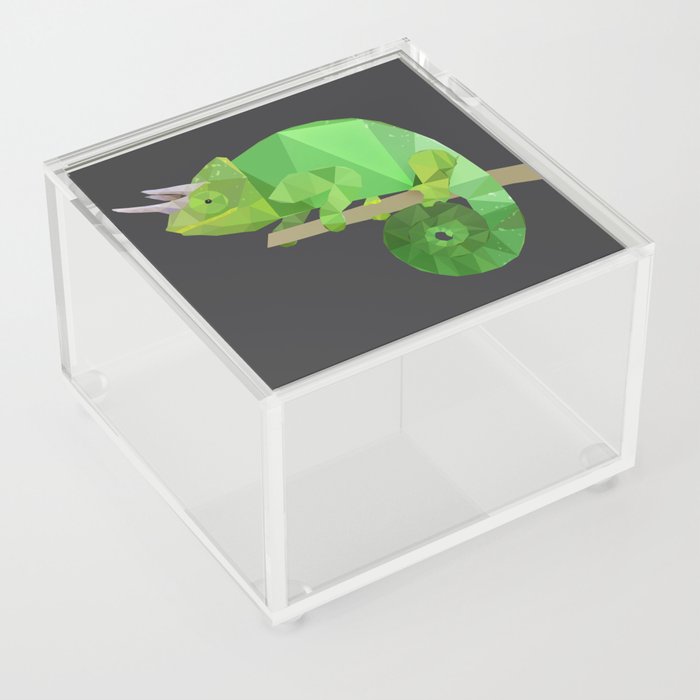 Low Poly Chameleon Acrylic Box