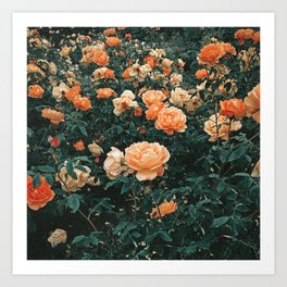 Forest of Roses Art Print