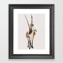 Tibetan Antelope Framed Art Print