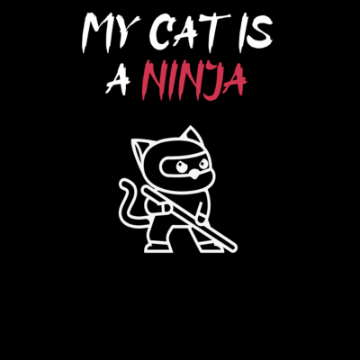sneaky ninja cat video