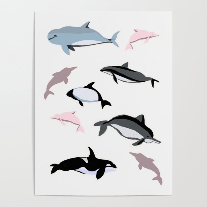 Dolphins Poster