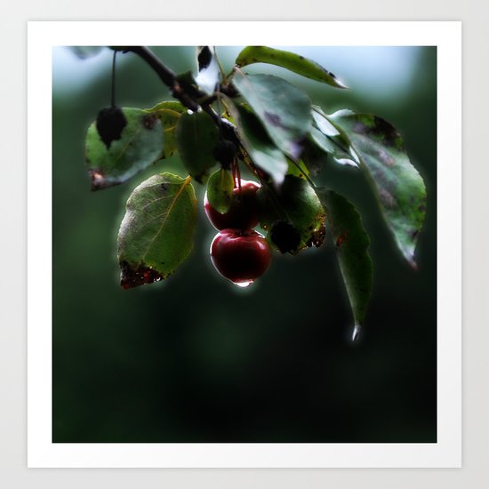 Art By Steve Augle Art Print