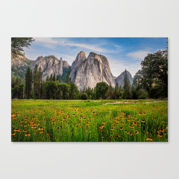 In the Valley of Yosemite - Wildflowers at Cathedral Rocks in Yosemite National Park California Canvas Print