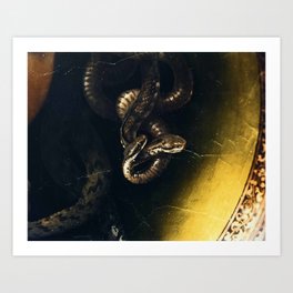 Medusa Snakes Caravaggio Art Print
