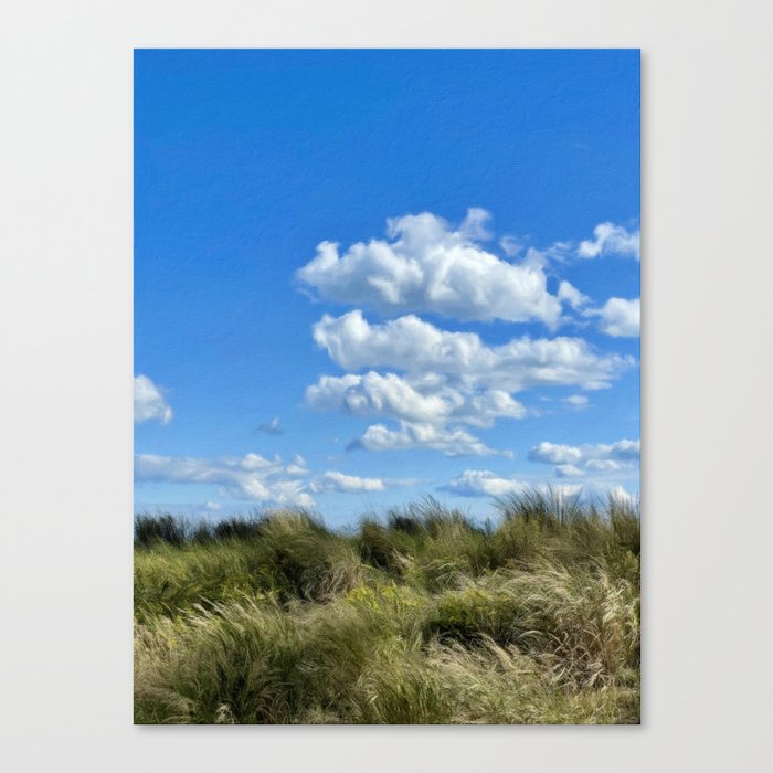 Freedom of the Blue Skies Canvas Print