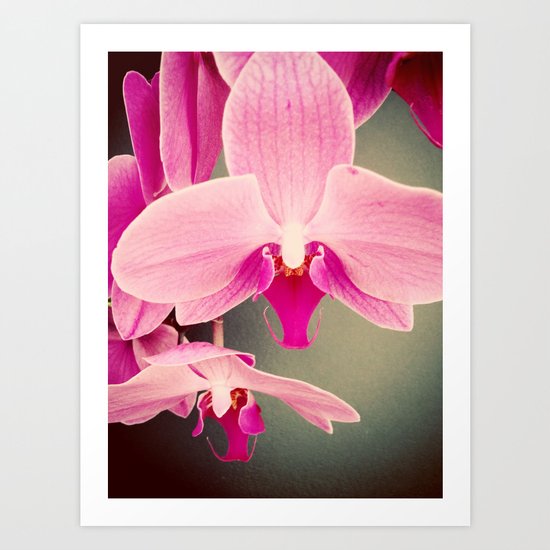 Orchid Love Art Print