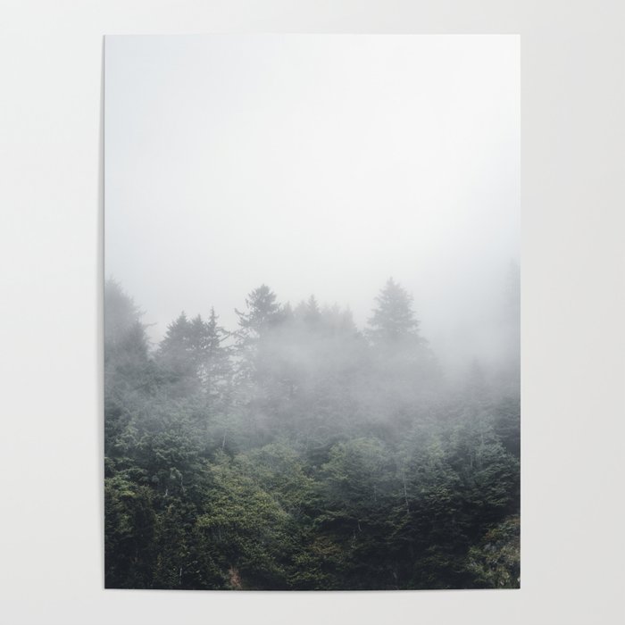 Foggy Forest Oregon Coast Landscape Photography Poster