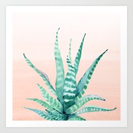 Desert Succulent Aloe Vera Art Print