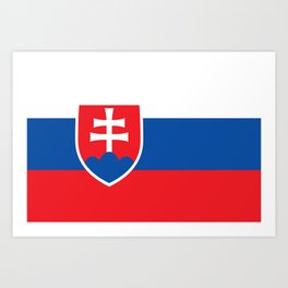 Slovakian flag of Slovakia Art Print