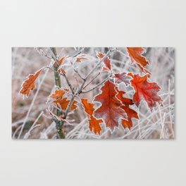Fall Meets Frost Canvas Print