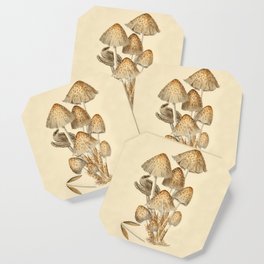 Inky Cap Mushrooms Coaster