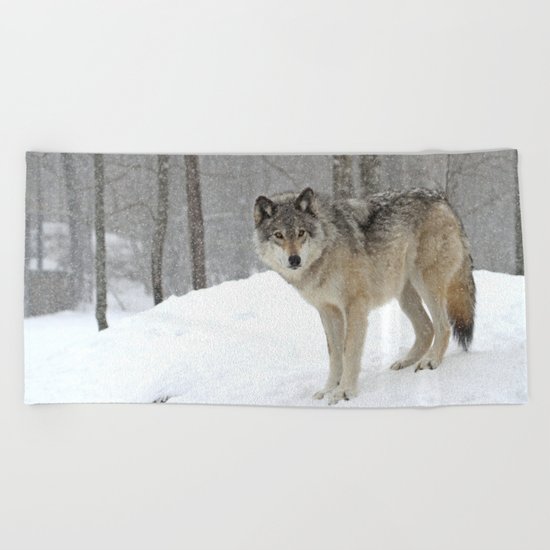 A lone wolf Beach Towel
