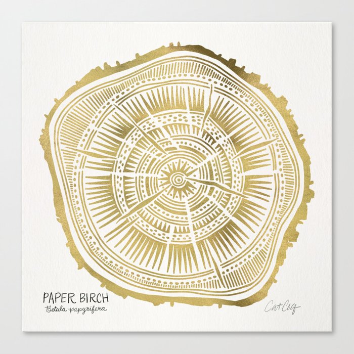 Paper Birch – Gold Tree Rings Canvas Print