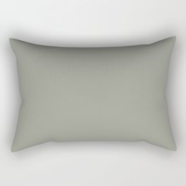 Grayish Green Solid Color 2022 Color of the Year Sherwin Williams Evergreen Fog SW 9130 Rectangular Pillow