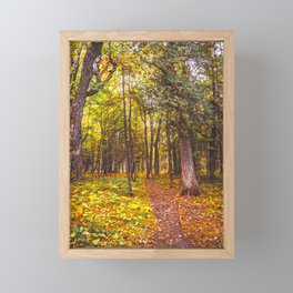 Autumn Forest | Travel Photography | Northern Minnesota Framed Mini Art Print