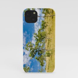 Savannah landscape iPhone Case