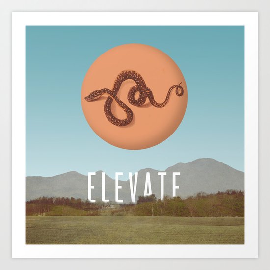Elevate Art Print