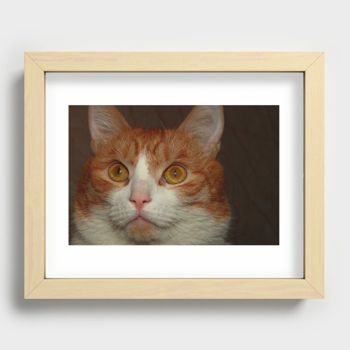 Cat addicted Recessed Framed Print