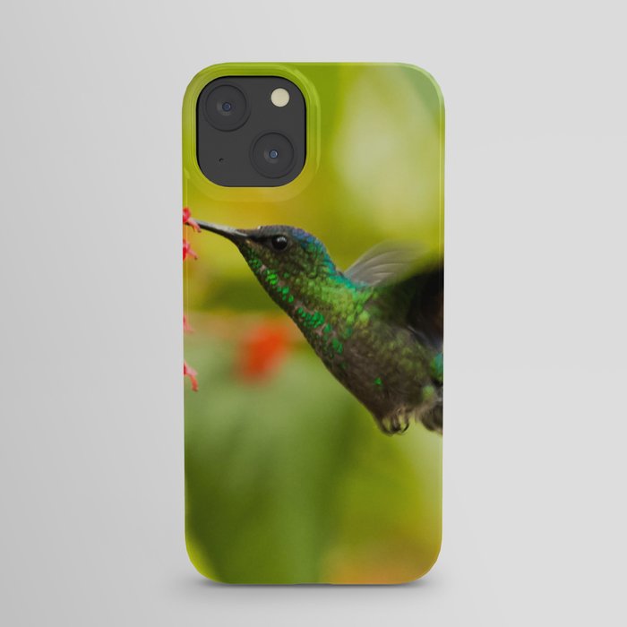 Brazil Photography - A Beautiful Green Humming Bird In Brazil iPhone Case