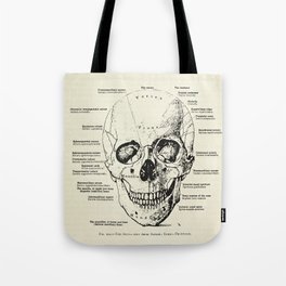 Vintage Anatomy Skull  Tote Bag