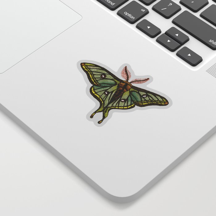 Luna Moth - Painting Sticker
